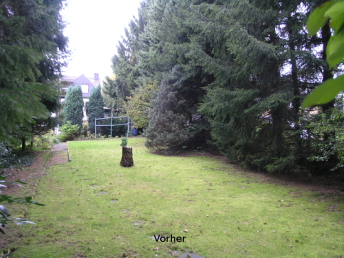 Baum fällen Heiligenhaus